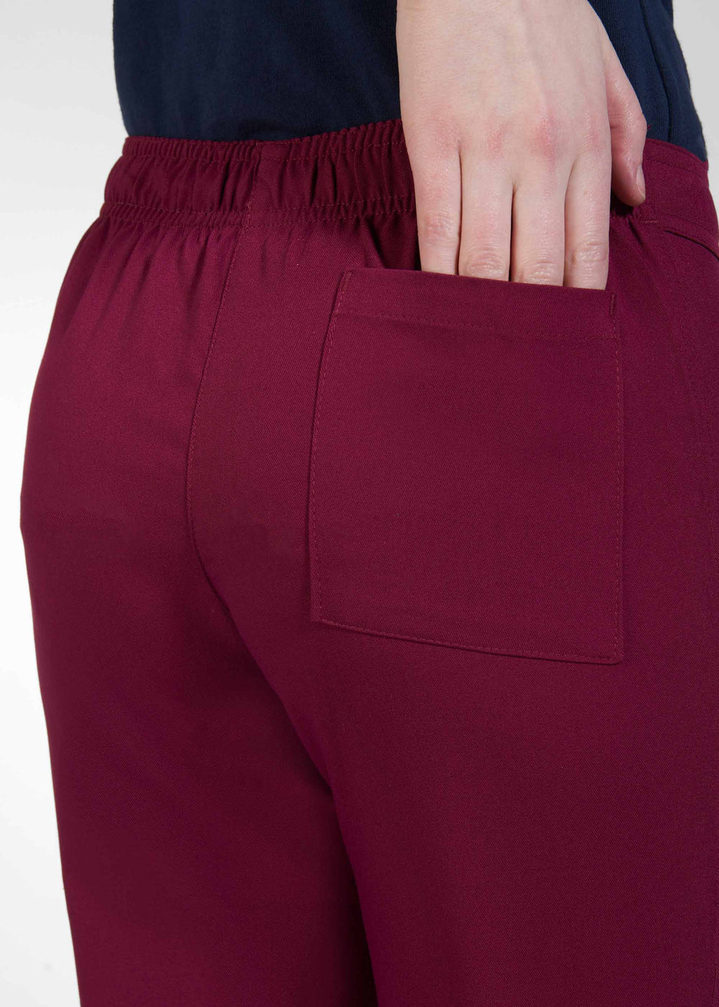 Product - The Carmen Waistband Pant - Tall